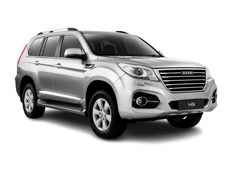 Купить Haval H9 в Томске - Благородный агат